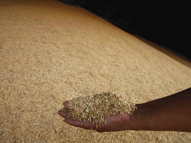 El paro del arroz podría abarcar todo el sector