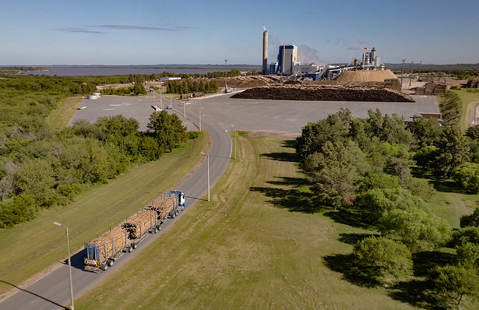 Transporte forestal de UPM en Uruguay: escala, tecnología y seguridad en una operación 24/7