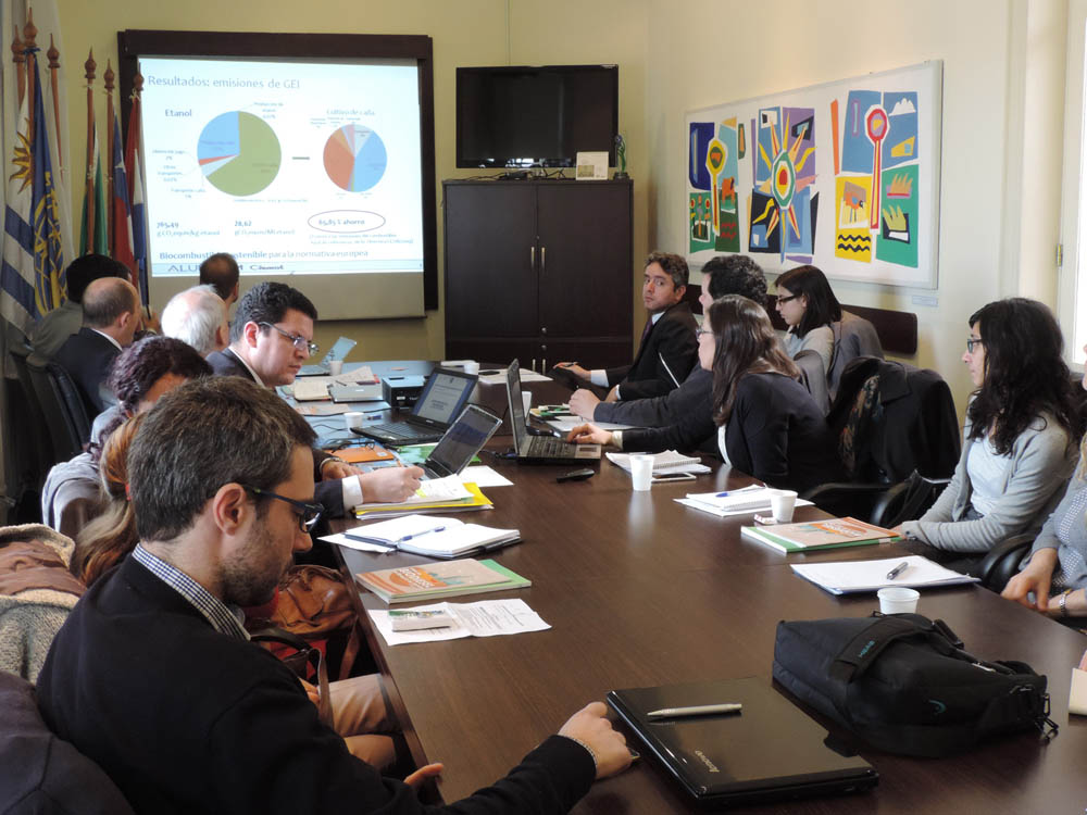 ALUR participó de la XIV Reunión del grupo ad hoc de Biocombustibles del Mercosur