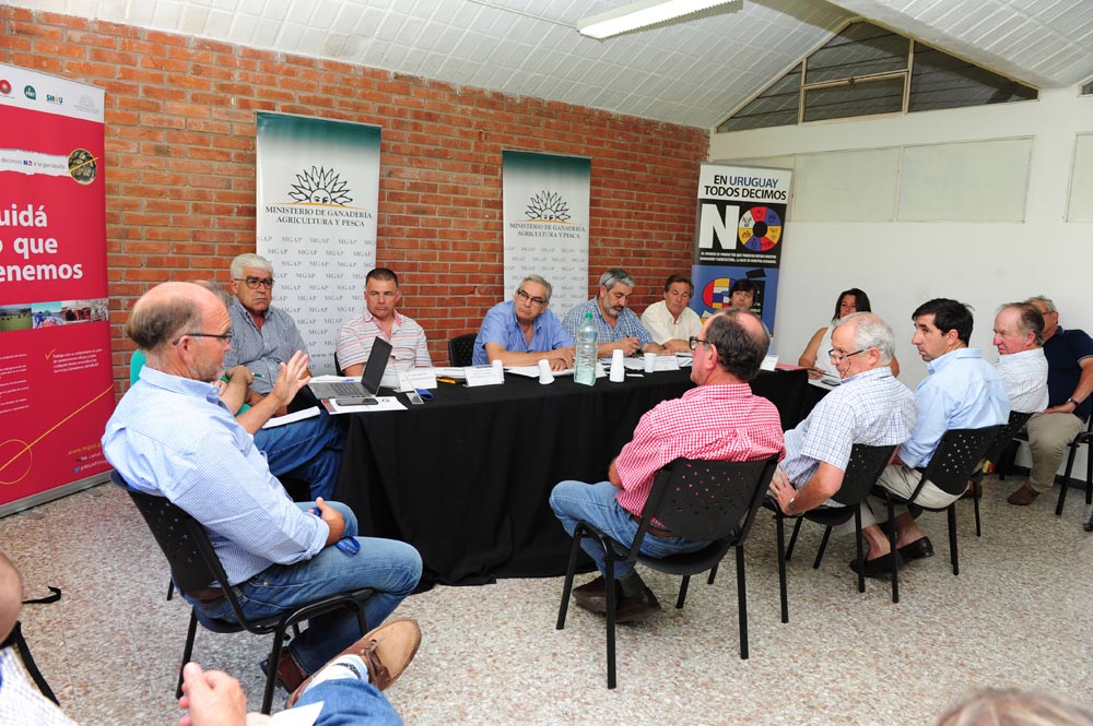 Exportaciones de ganado en pie alcanzan récord histórico este año en Uruguay