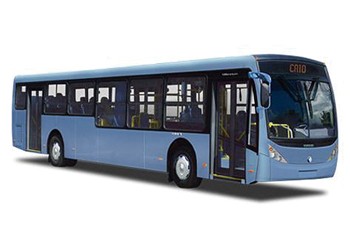 CAIO MILLENIUM CAIO MILLENIUM