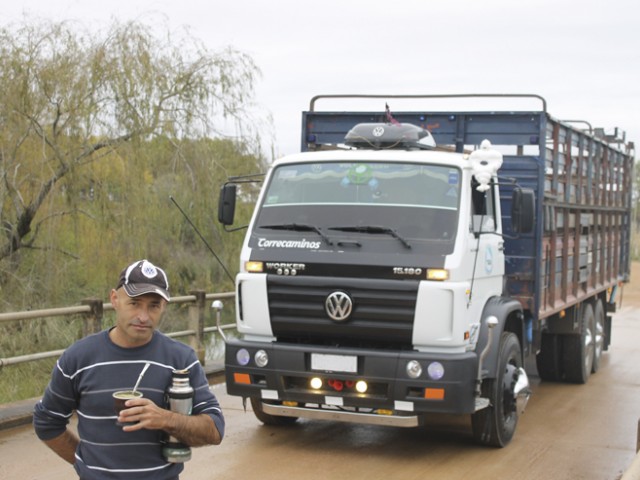 Transporte de Hacienda: así es este trabajo en Uruguay