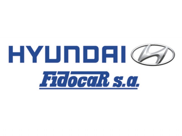 HYUNDAI FIDOCAR 