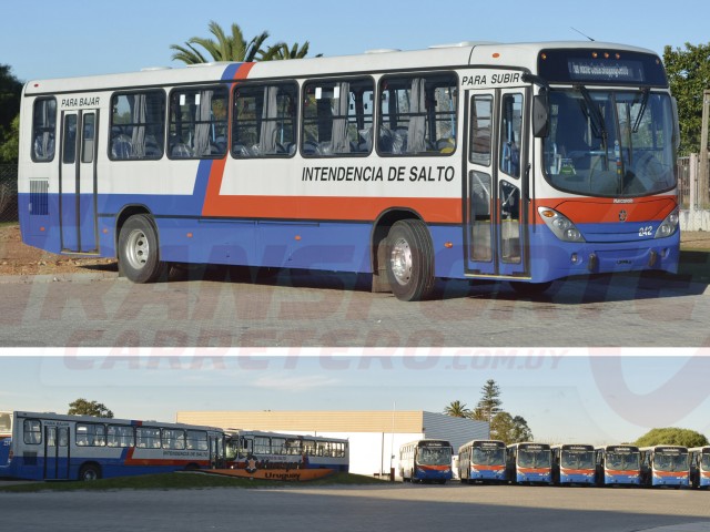 Intendencia_de_salto