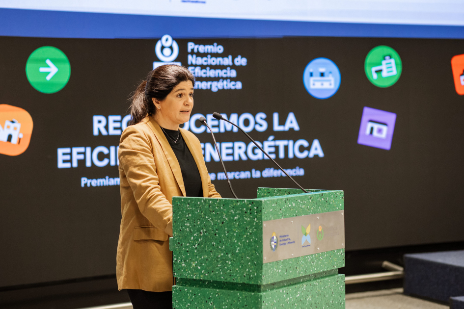 La DNE presenta a los 26 postulantes del Premio Nacional de Eficiencia Energética 2025. Mirá quienes son!