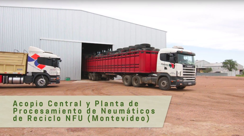 Plantas de acopio contienen 5.000 toneladas de neumáticos en desuso en cumplimiento de normativa de Dinama