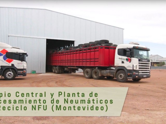 Plantas de acopio contienen 5.000 toneladas de neumáticos en desuso en cumplimiento de normativa de Dinama Plantas de acopio contienen 5.000 toneladas de neumáticos en desuso en cumplimiento de normativa de Dinama