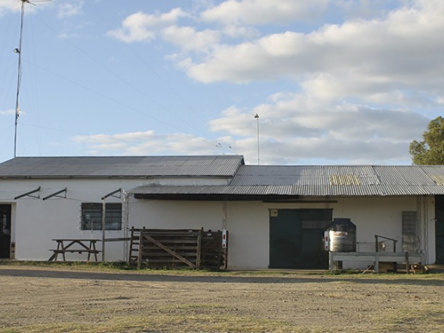 Nota_6_El_omnibus_que_pasa_por_Ruta_100_se_detiene_para_bajar_o_subir_alguna_encomienda