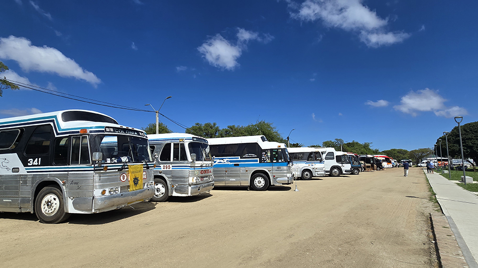 La Historia en Ómnibus: una exposición inolvidable del transporte uruguayo 