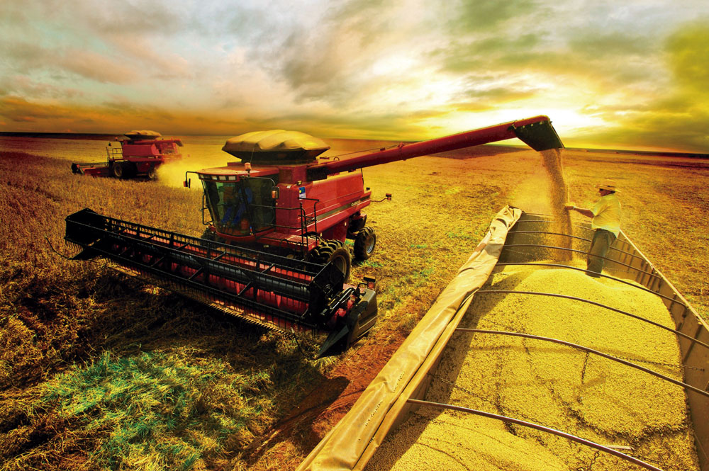 Uruguay aplica mayores controles fitosanitarios para exportar soja a China