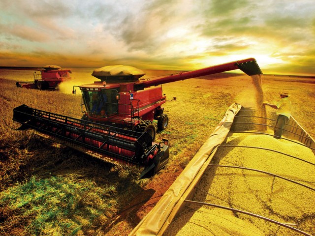 Uruguay aplica mayores controles fitosanitarios para exportar soja a China Uruguay aplica mayores controles fitosanitarios para exportar soja a China