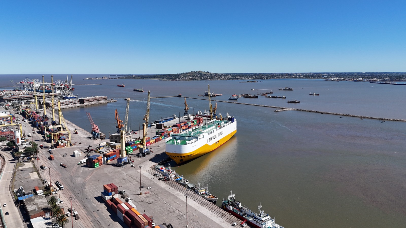 Montevideo se consolida como hub logístico con nuevo servicio Ro-Ro desde China