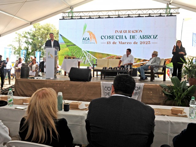 Cosecha 2025 en Treinta y Tres | Orsi: Inversiones en investigación y riego son pilares para el desarrollo de producción arrocera