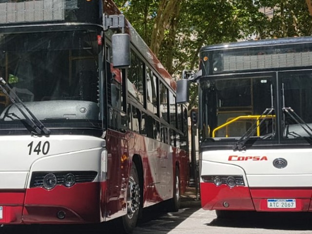 No se han registrado contagios de coronavirus en el transporte público No se han registrado contagios de coronavirus en el transporte público