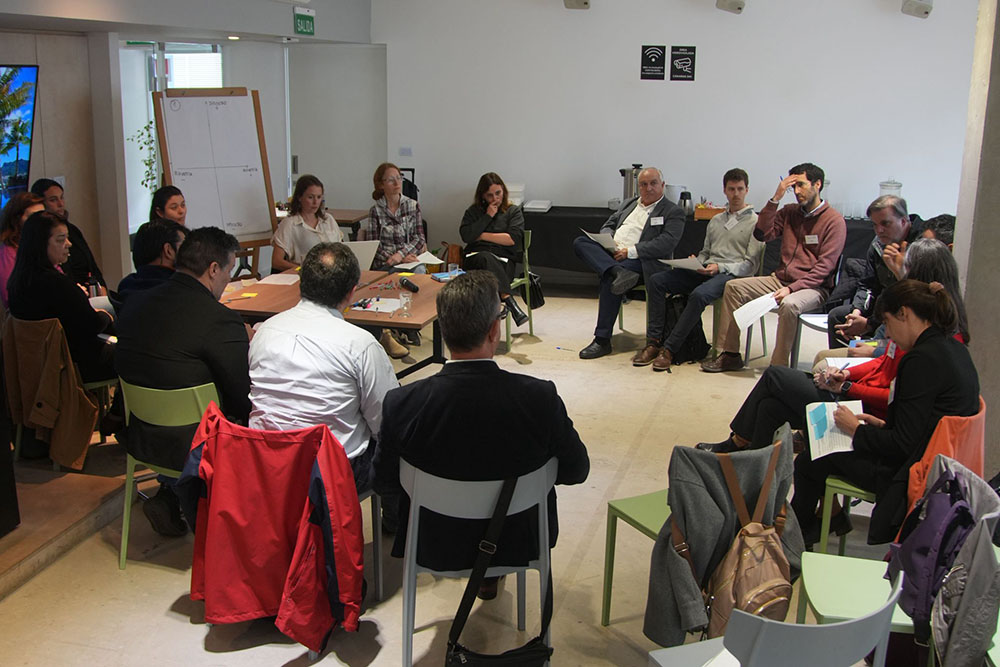 Se lanzó la Evaluación Ambiental Estratégica de la cadena de valor del hidrógeno verde y sus derivados