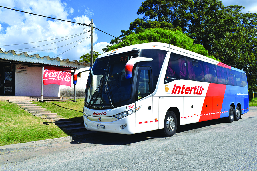 Intertr Transporte Carretero - Nos fuimos a conocer Palmar en INTERTUR
