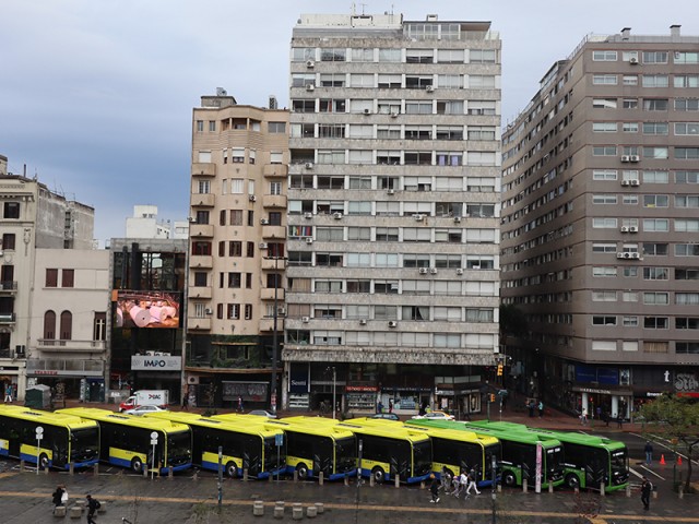 La Intendencia lleva adelante acciones para el cuidado ambiental
