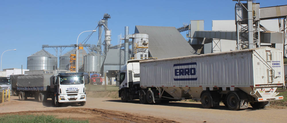 Próximamente comenzará pavimentación de 8.000 metros cuadrados en terminal de Nueva Palmira