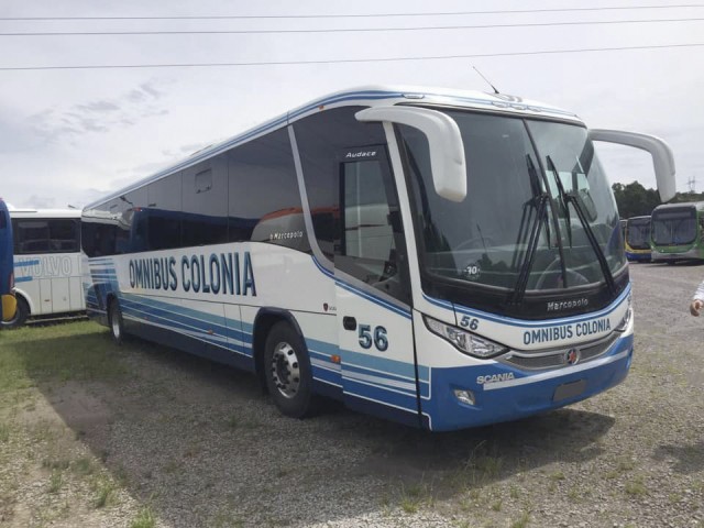 ÓMNIBUS COLONIA ÓMNIBUS COLONIA