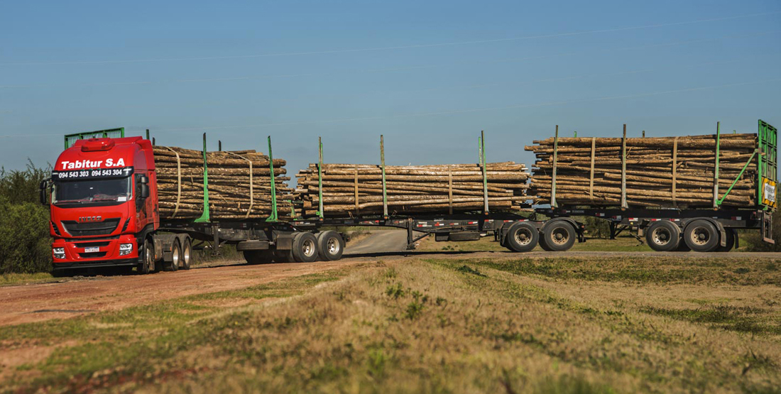 Comenzaron pruebas de camiones tritrenes en busca de incorporarlos a corredores viales ante al aumento de la carga